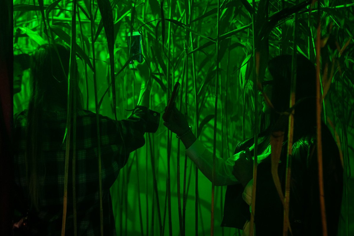 Не потеряй себя в попытках понять других Не потеряй себя в попытках понять других