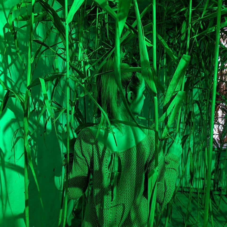 Иногда хочется просто уйти в бамбуковое поле, а не вот это все