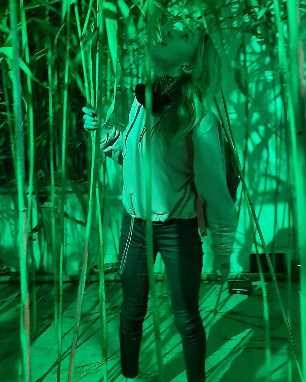 Спрятаться в джунглях - хорошая затея