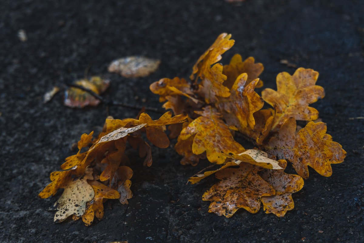 Красота - в деталях