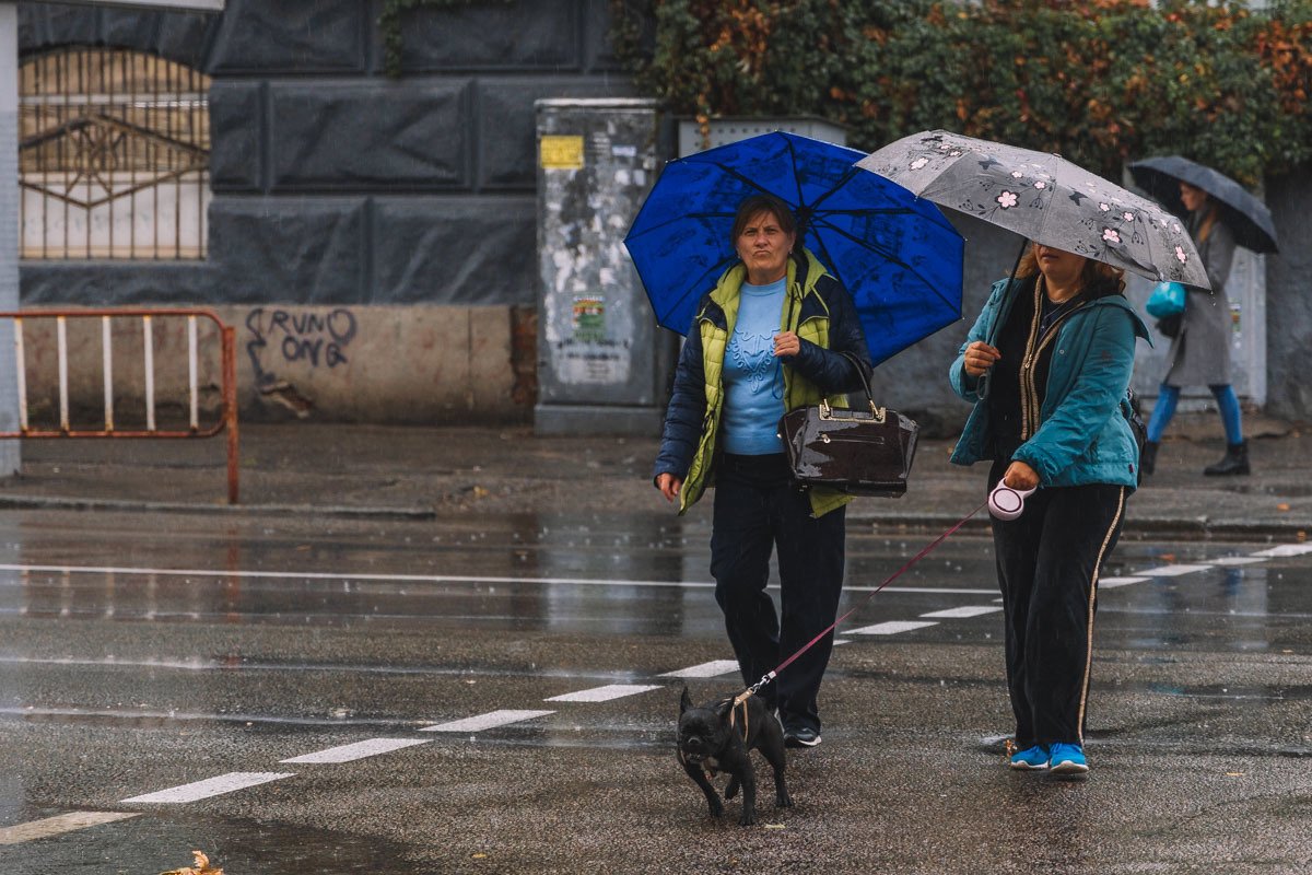 Хочешь - не хочешь, а собаку выгуливать надо