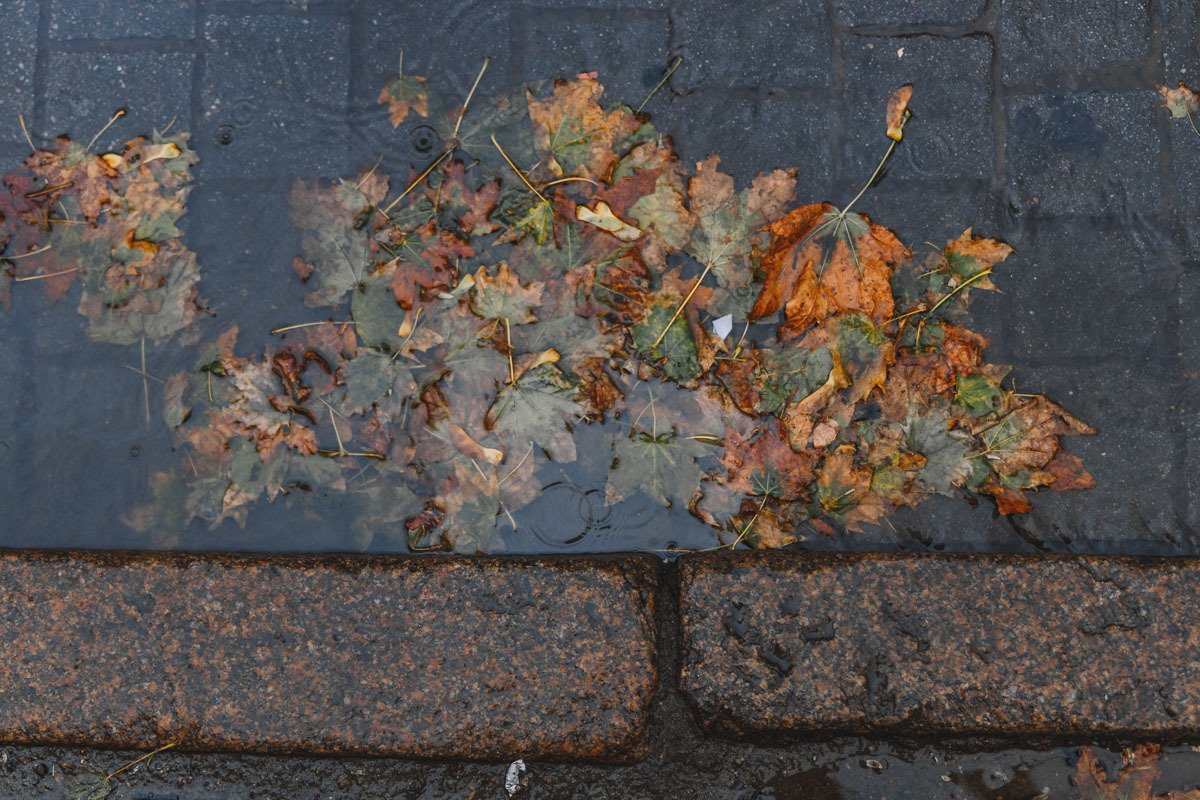 Доставайте резиновые сапоги!