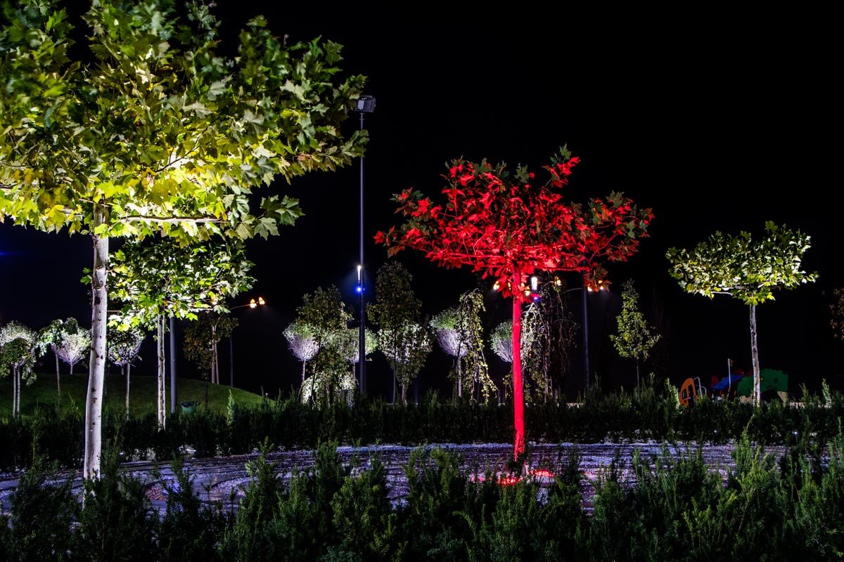 Вечерняя нега Вечерняя нега