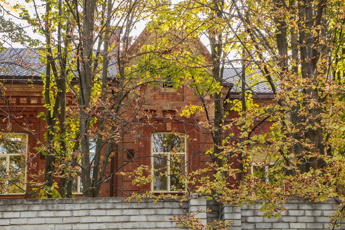 Осень заслоняет вид на здание Осень заслоняет вид на здание