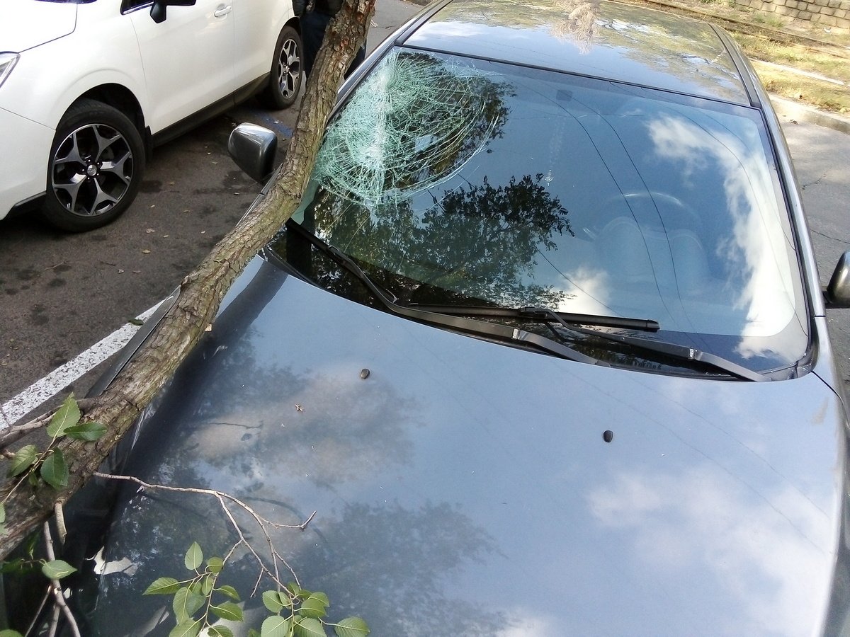 К счастью, в инциденте никто не пострадал.