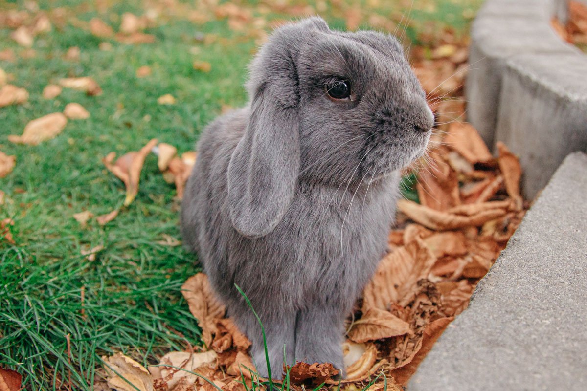 Что далее. А далее - зима.