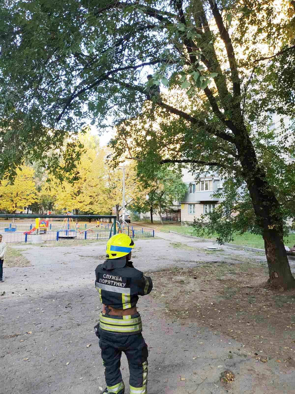 Мальчика удалось вернуть на землю целым и невредимым 