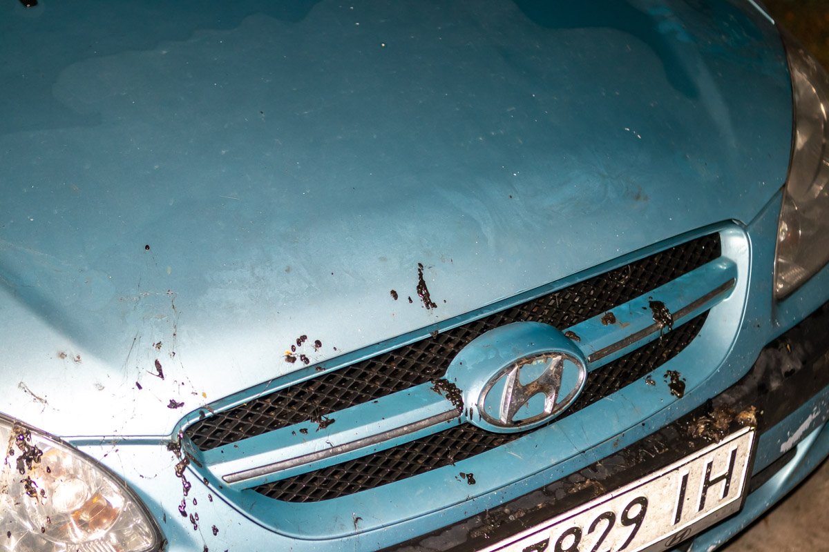 Hyundai удалось эвакуировать