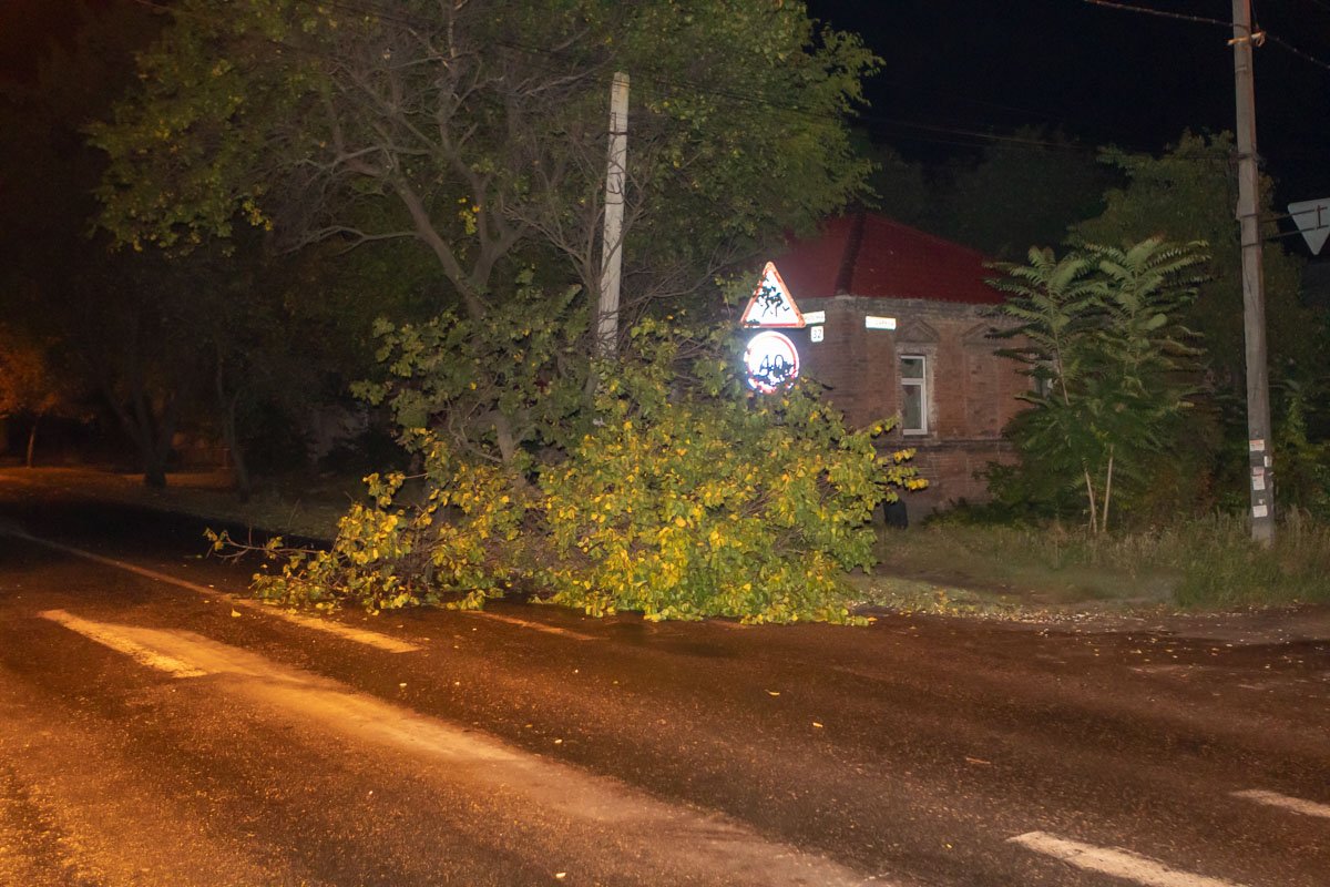 Ветка упала на пешеходный переход