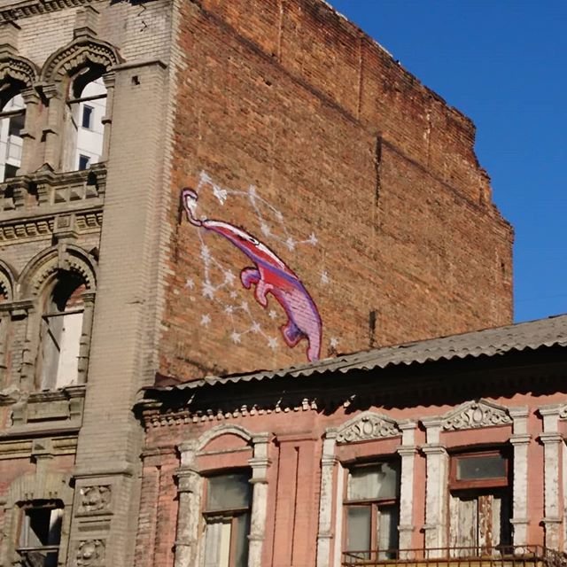 Похожего муравьеда заметили на Харьковской Похожего муравьеда заметили на Харьковской