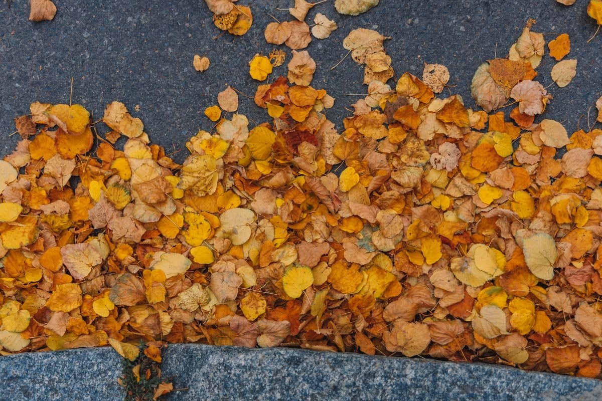 Уходить неслышно, без оглядки — Это мой неписаный закон.