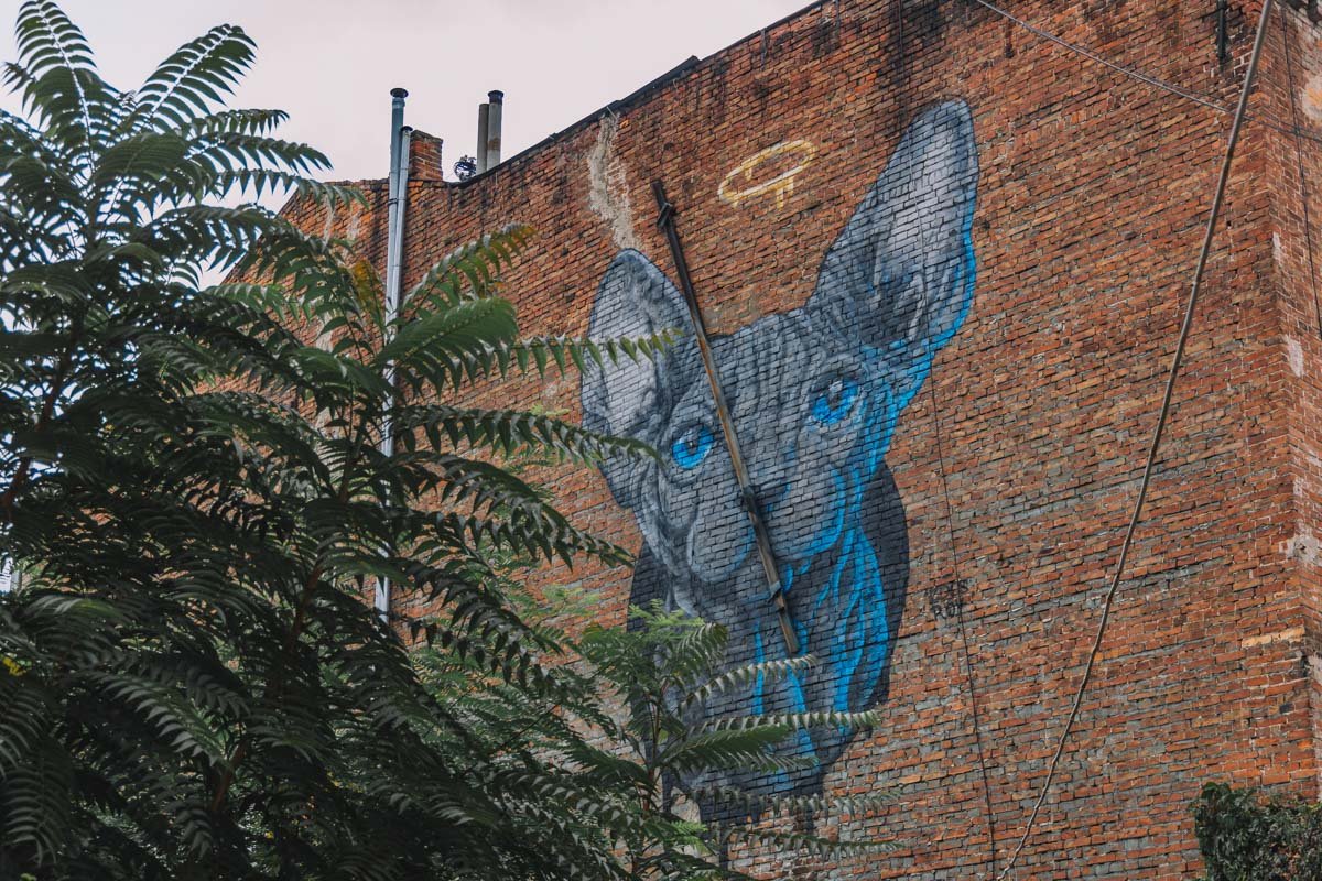 Я иду и гордо несу пламя, Оставляя свет в чужих сердцах.