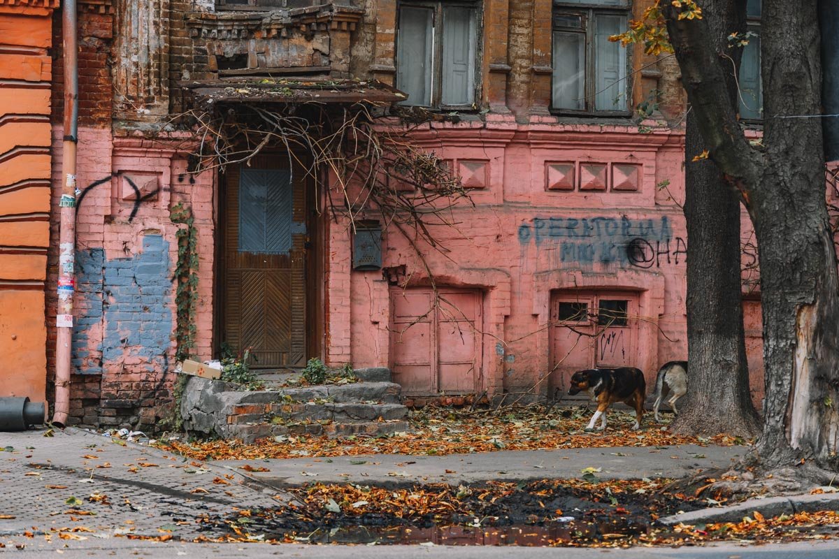 А пока мне осень дышит в спину, Загоняя в крошечный вагон,