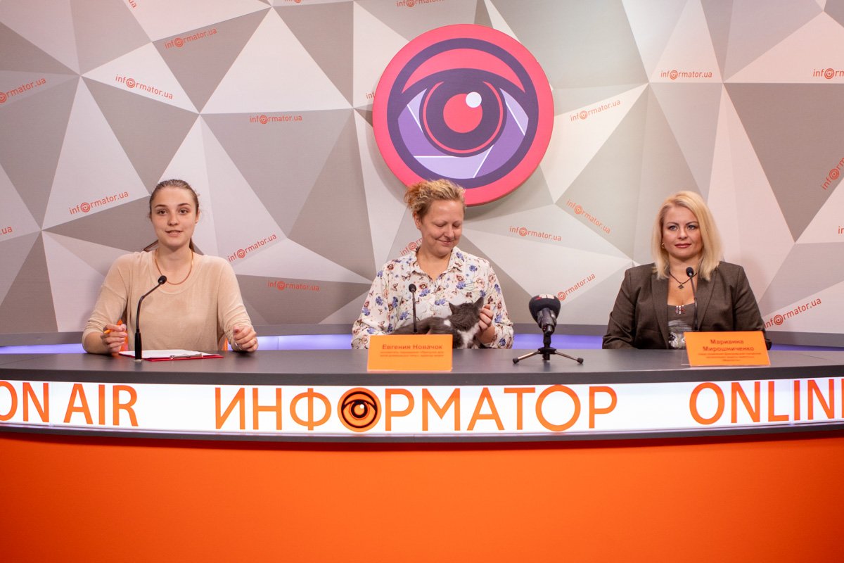 В Днепре пройдет акция по укотовлению В Днепре пройдет акция по укотовлению