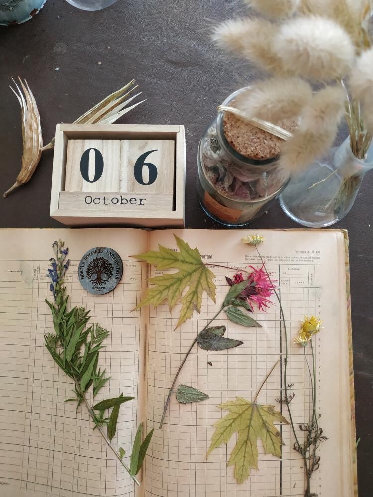 Будет интересно Будет интересно