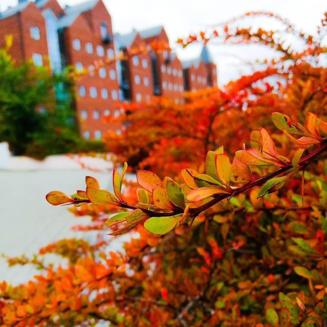 Разукрась осень. Фото: ariana19967 Разукрась осень. Фото: ariana19967