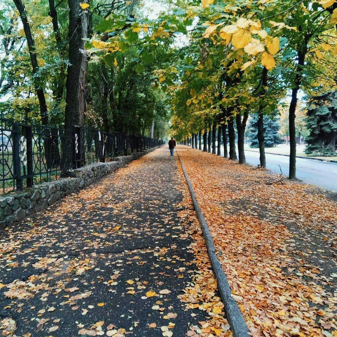 Аллеями Днепра. Фото: yekaterina_rinа Аллеями Днепра. Фото: yekaterina_rinа