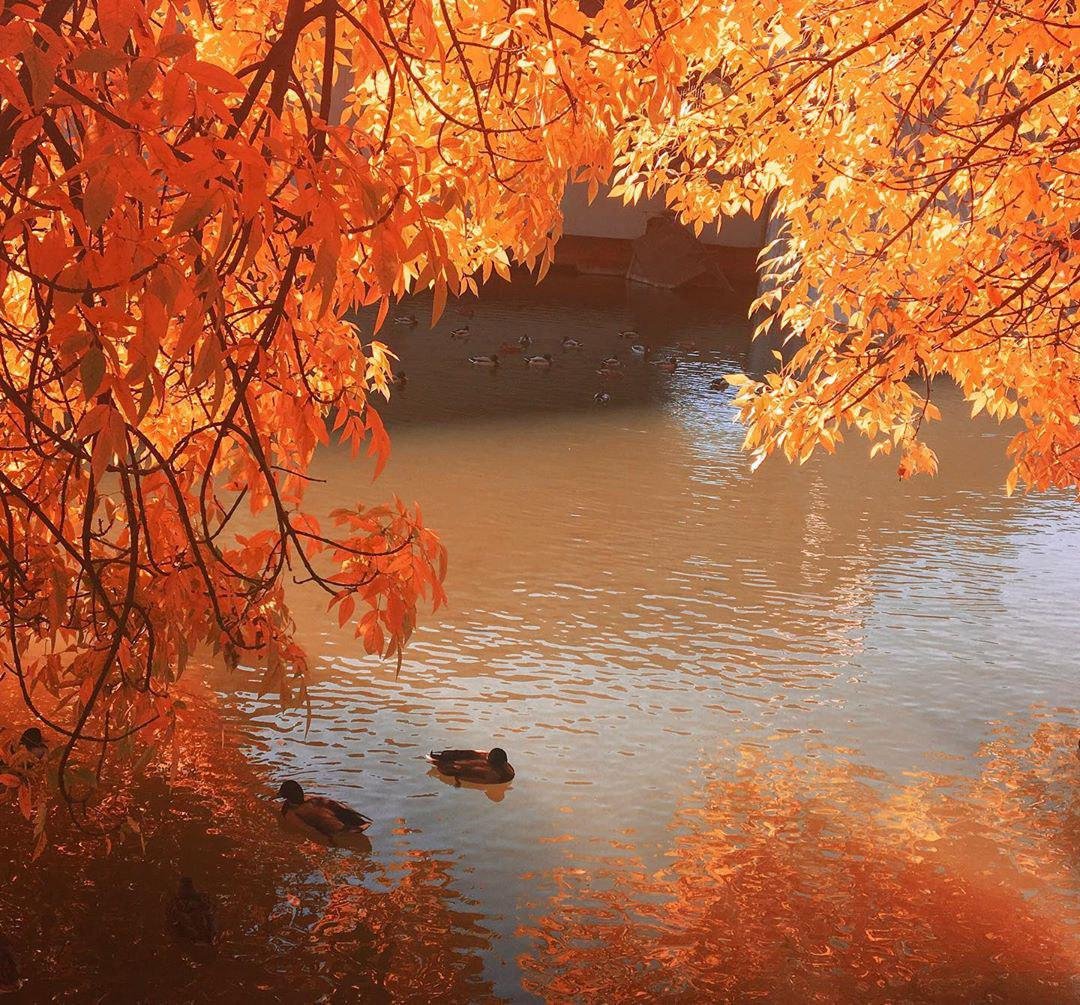 Гуляйте больше. Фото: garackevich.irina Гуляйте больше. Фото: garackevich.irina