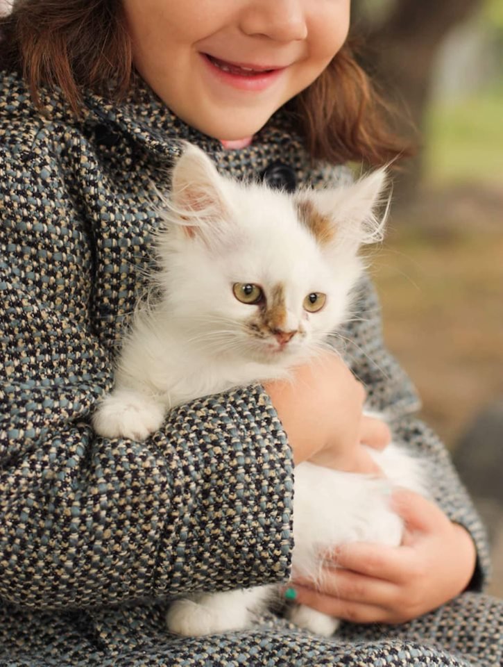 Малыши готовы любить