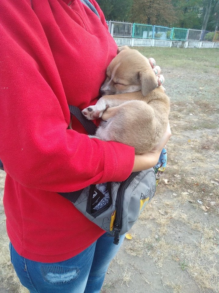 Просто посмотрите на него