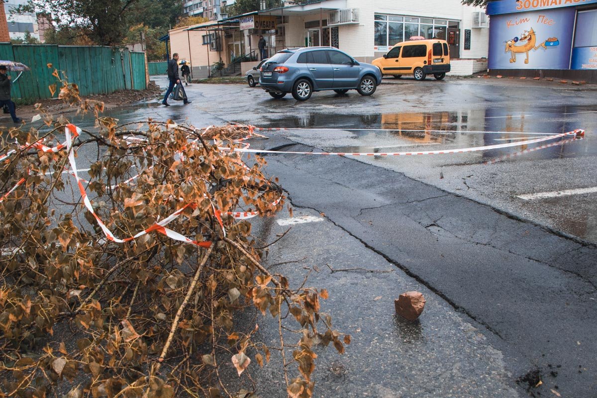 Яму обозначили веткой