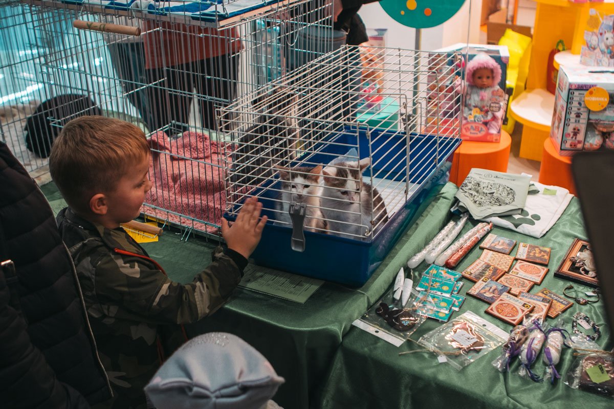 Дети быстро находили друзей Дети быстро находили друзей