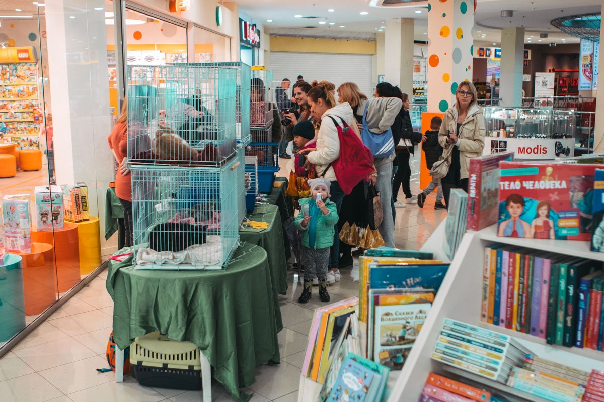 На мероприятии собирались десятки людей На мероприятии собирались десятки людей