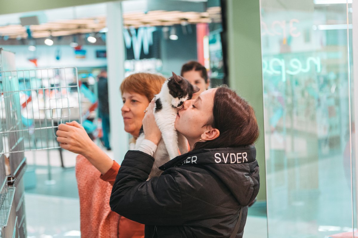 Пушистое счастье Пушистое счастье