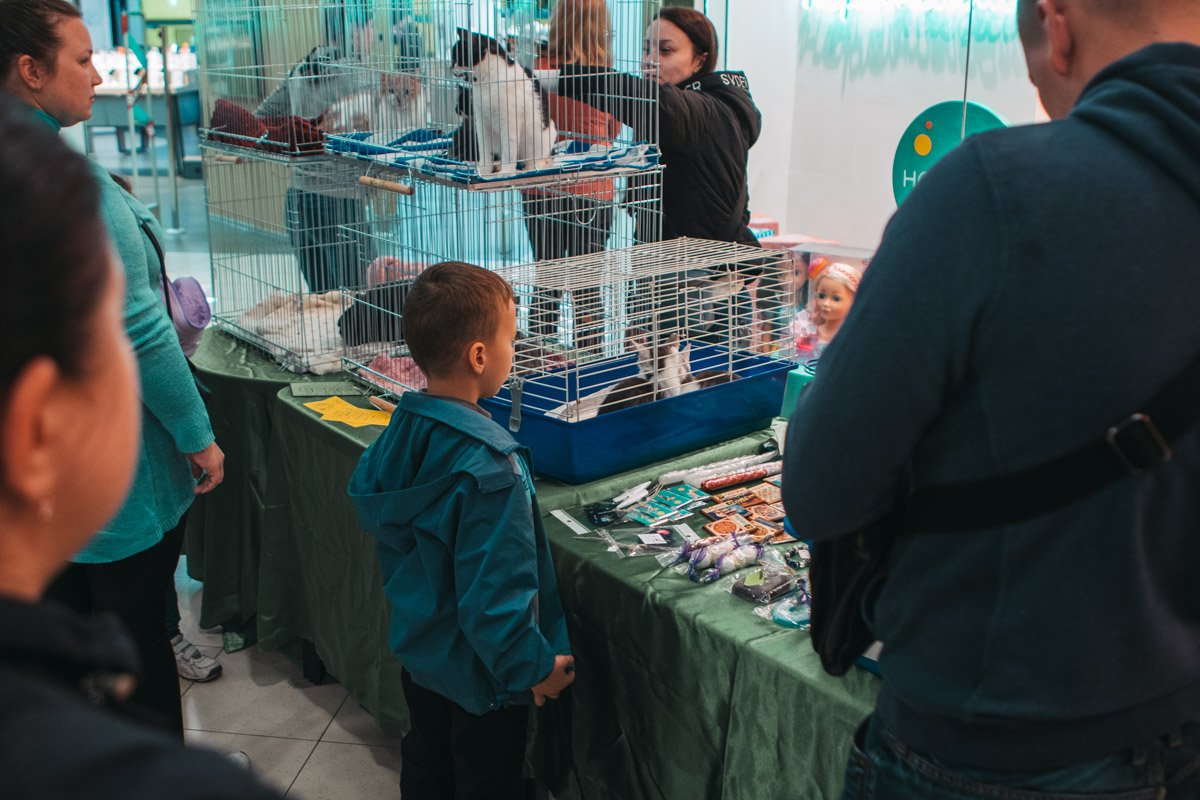 Мама, я нашел друга Мама, я нашел друга