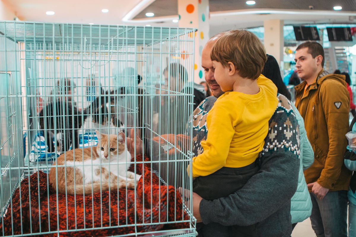 Рыжие - особенные Рыжие - особенные