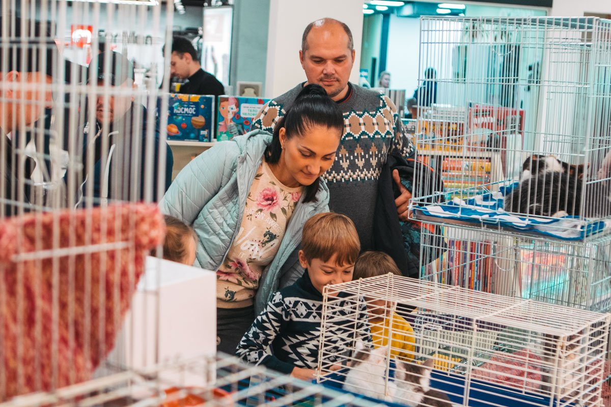 Мимимшная акция Мимимшная акция