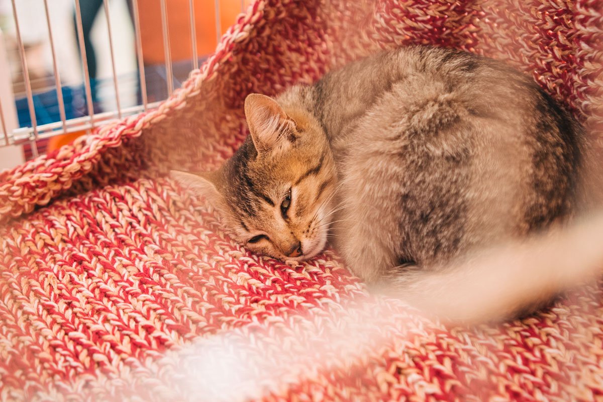 Я пока полежу, пока ты не решишься Я пока полежу, пока ты не решишься