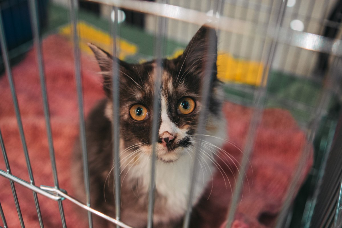 Ты обязан вернуться за мной Ты обязан вернуться за мной