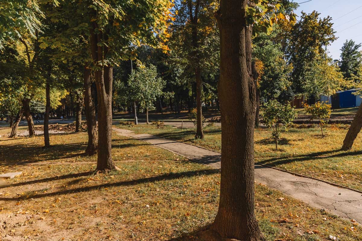Зеленую зону облагородят Зеленую зону облагородят