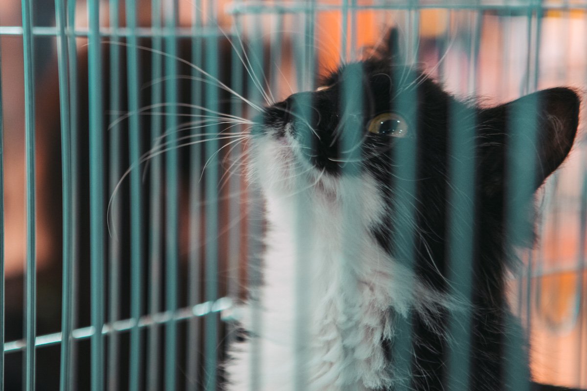 ТОП мероприятий, куда стоит пойти на выходных в Днепре 2