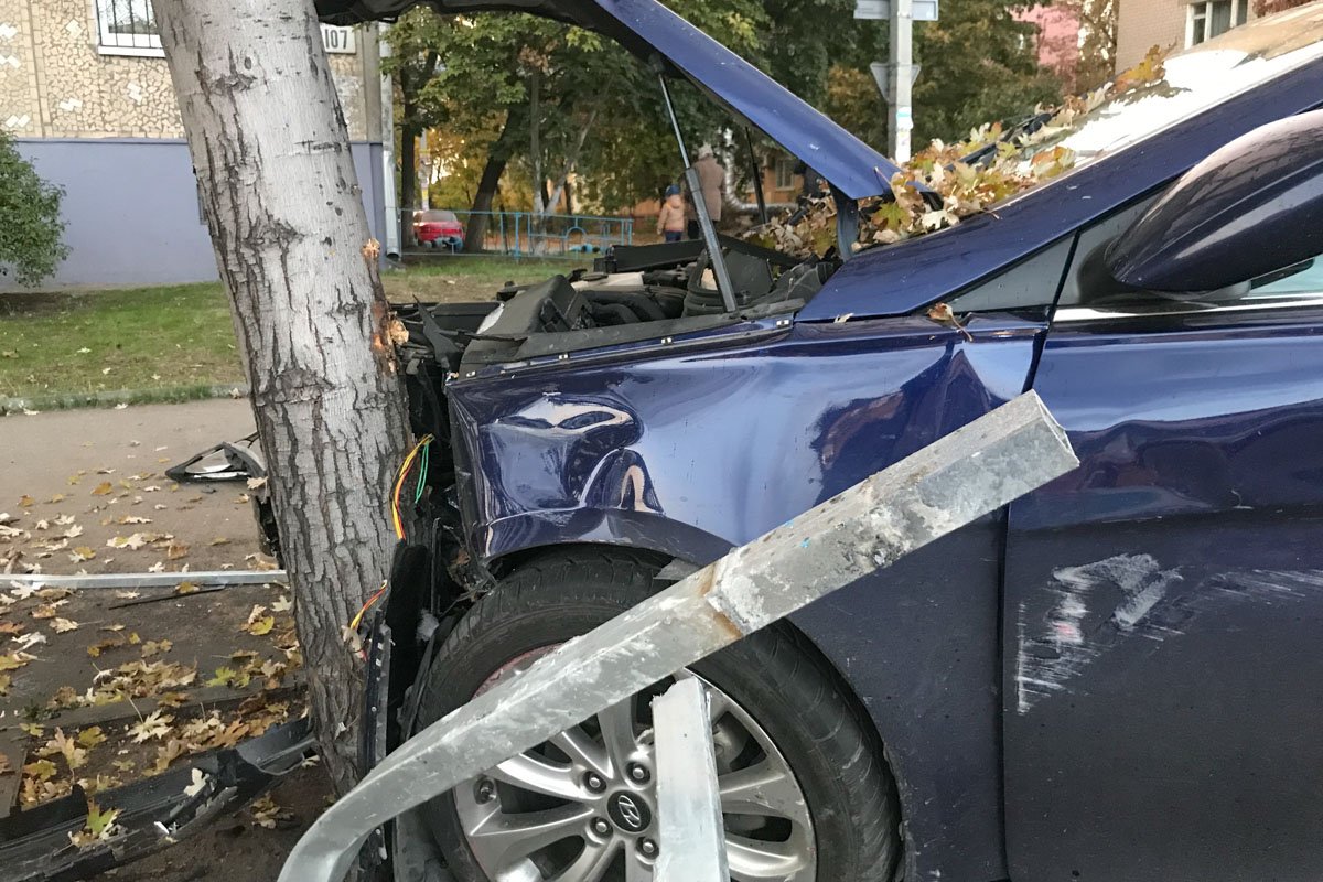 Hyundai врезался в дерево