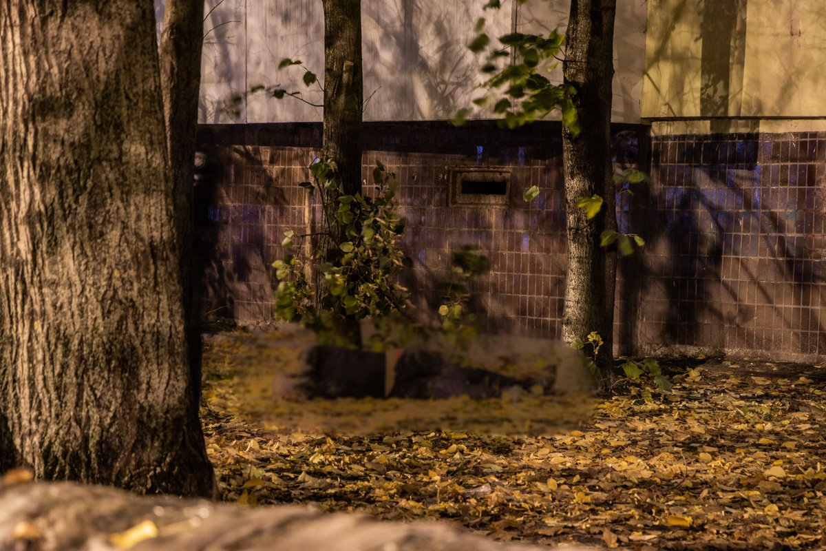 По словам соседей, мужчину нашли под окнами собственной квартиры