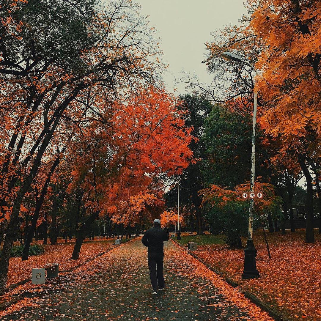 Больше красок. Фото: ruslana.lv Больше красок. Фото: ruslana.lv