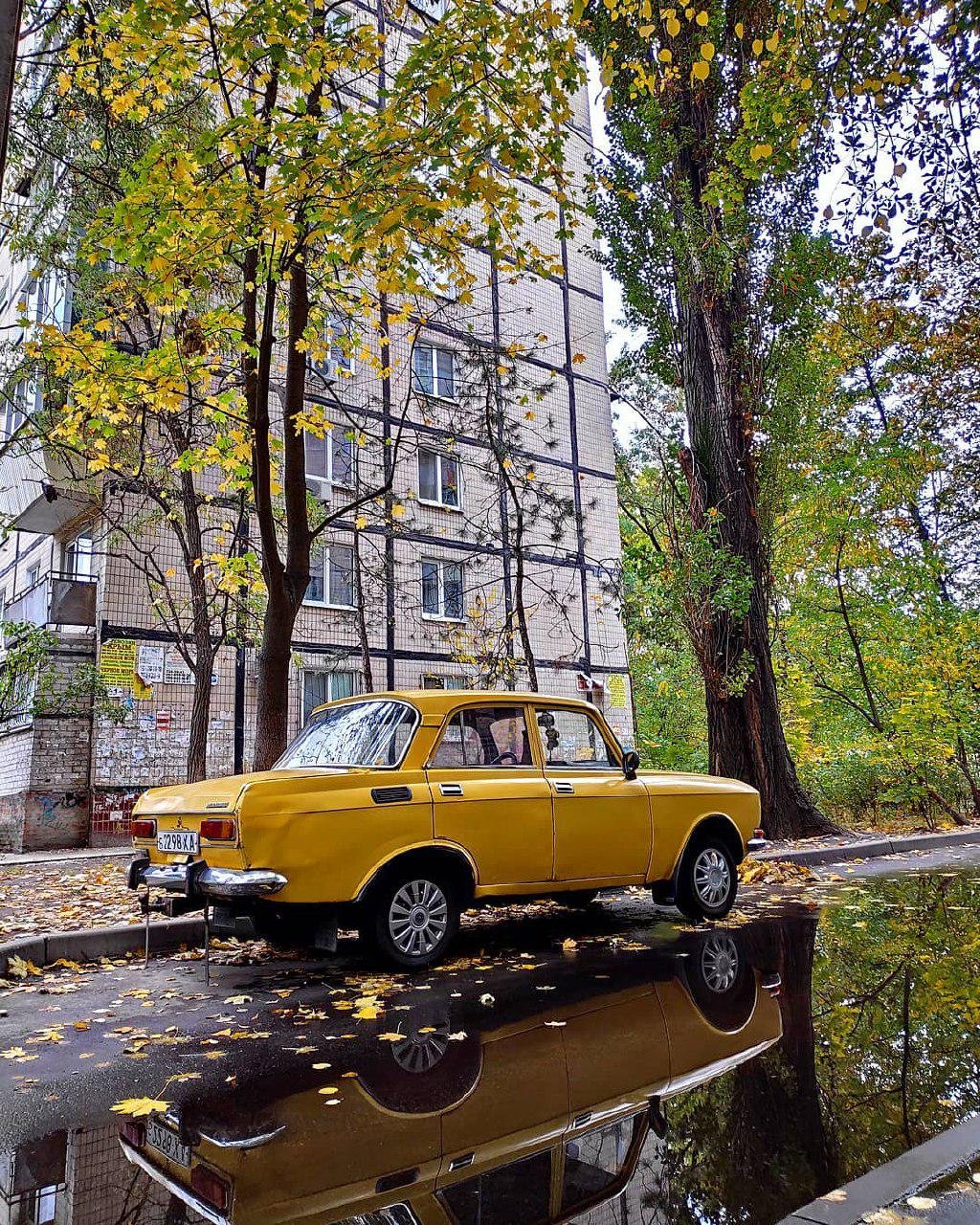 Замаскировался. Фото: fotolife.ua Замаскировался. Фото: fotolife.ua