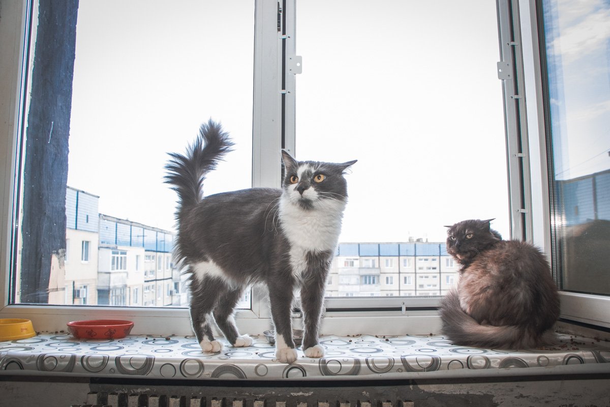 Гордый Серик Гордый Серик