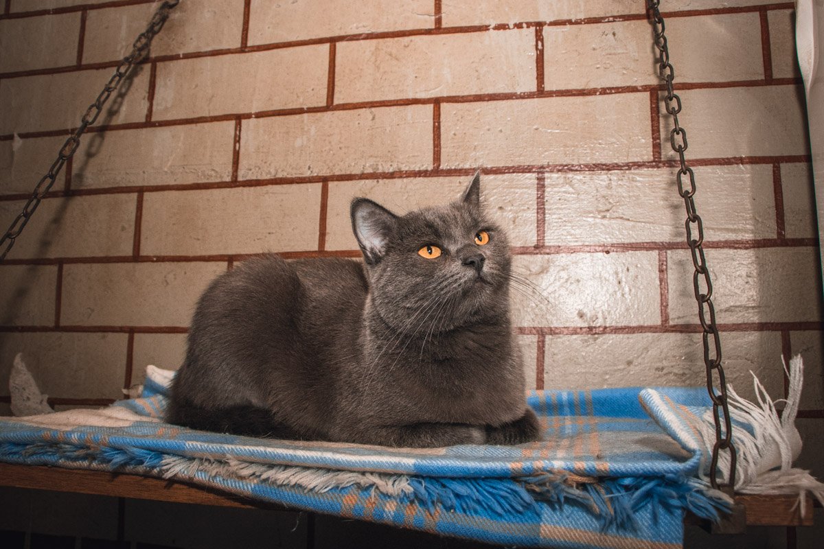 Милашка Люсиль Милашка Люсиль