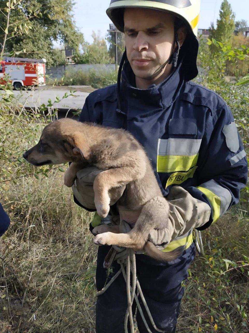 Малыш в безопасности