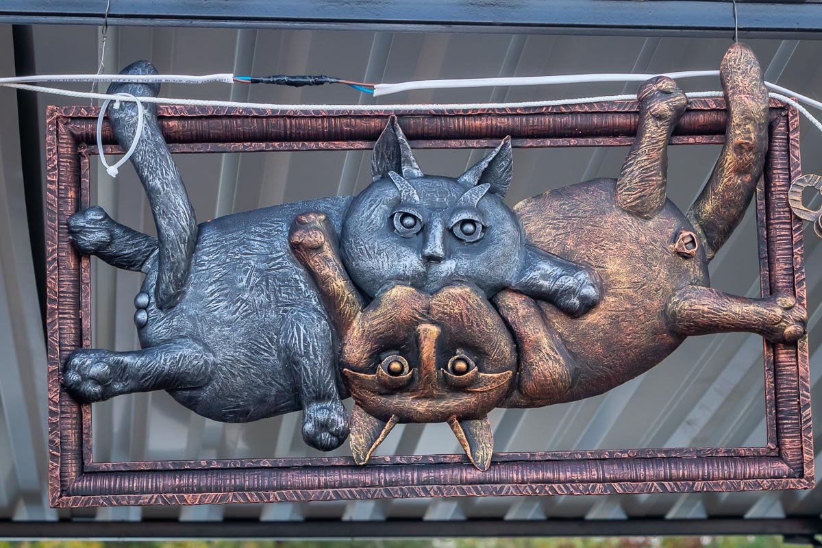 Немного о кошачьей любви 