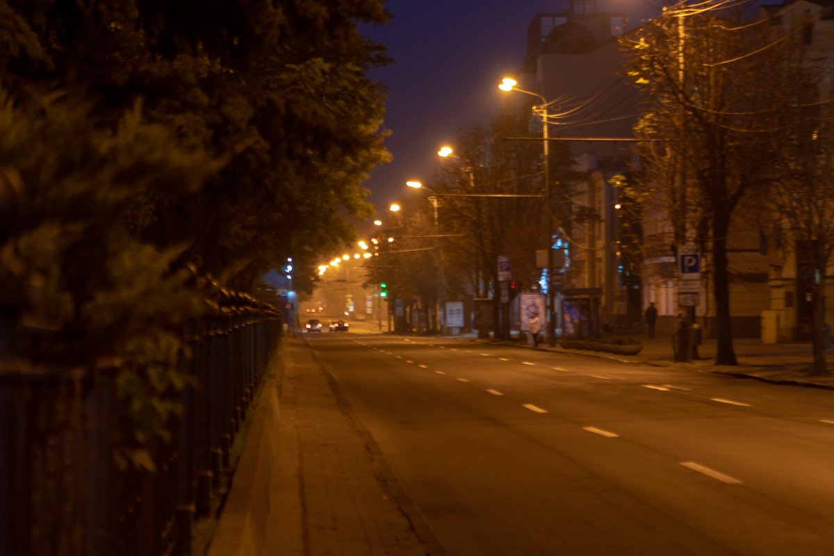 Густой туман опустился на город и окутал улицы Густой туман опустился на город и окутал улицы