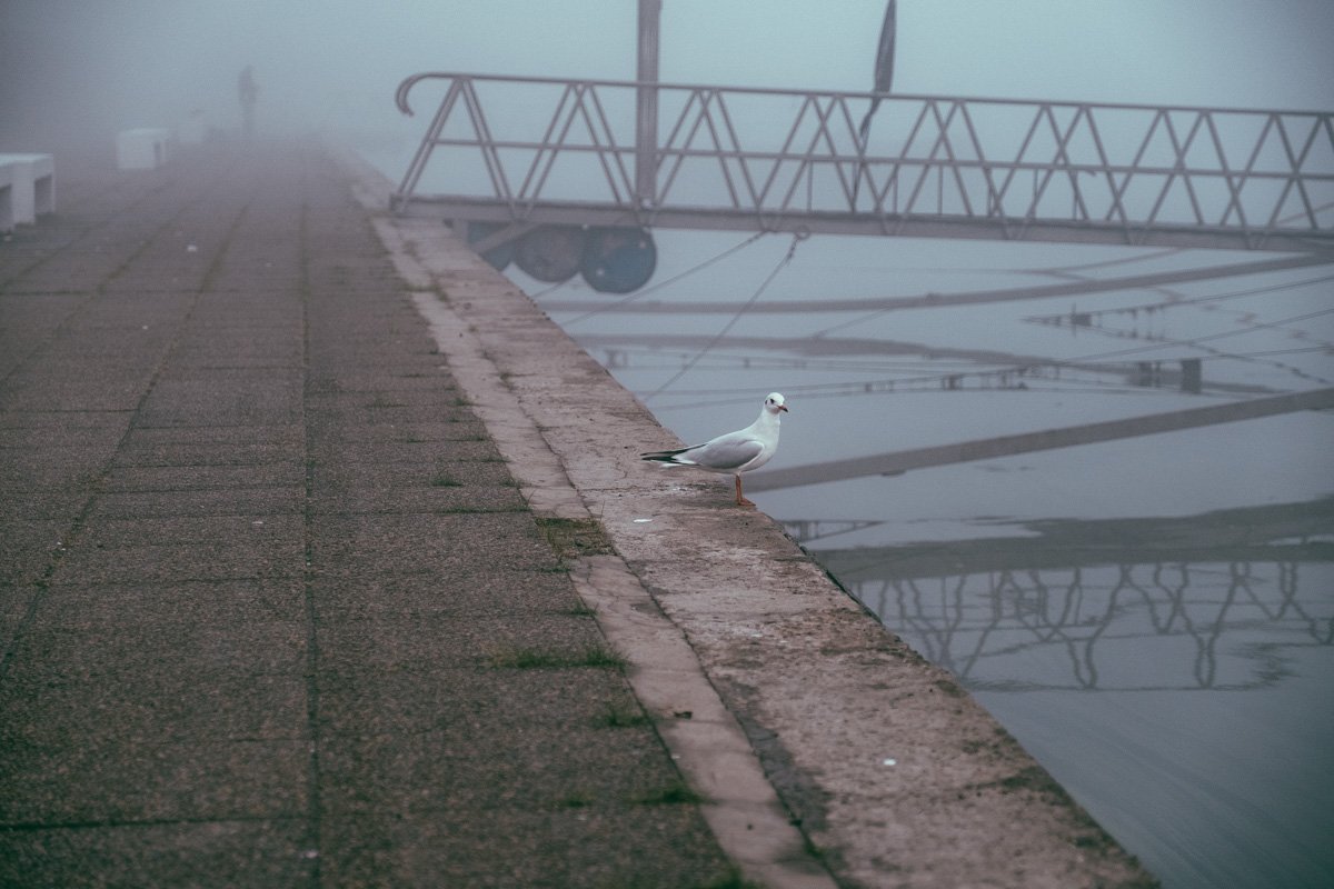 Осенний Днепр: как выглядит город под покрывалом октября 7
