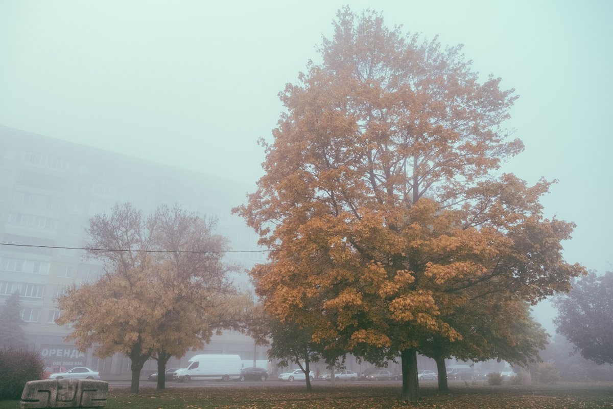 Осенний Днепр: как выглядит город под покрывалом октября 9