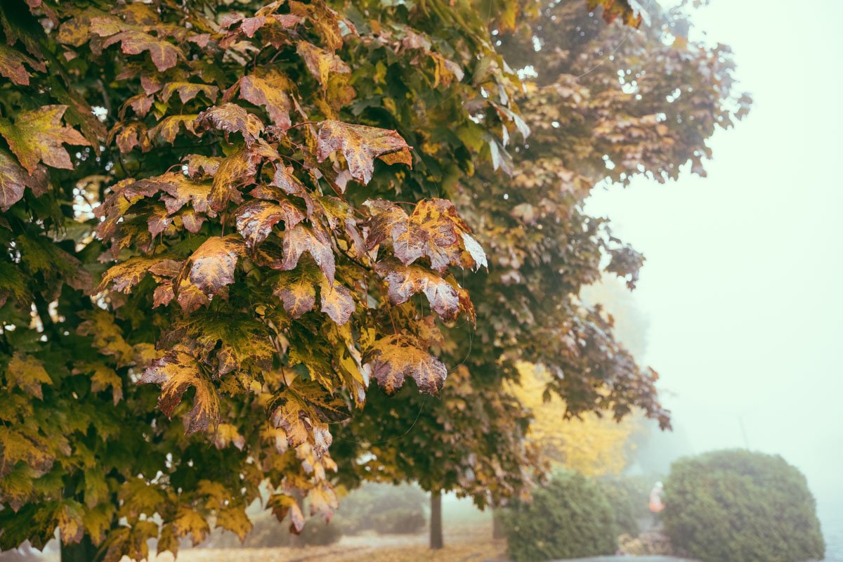 Осенний Днепр: как выглядит город под покрывалом октября 10