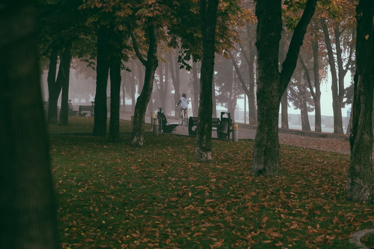 Осенний Днепр: как выглядит город под покрывалом октября 19