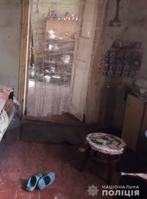 Впустила пожить Впустила пожить