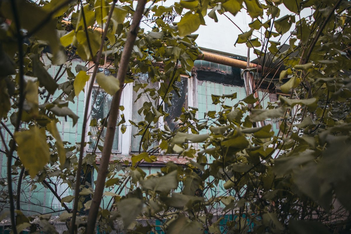 Под своими же окнами Под своими же окнами